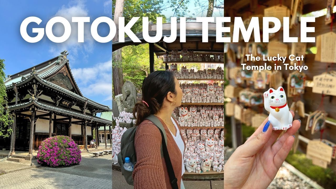 Uncover the mysteries of the Gotokuji Temple and delve into its fascinating insights.