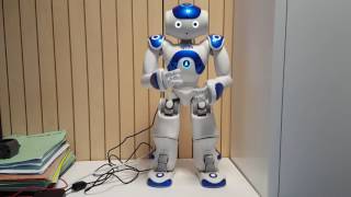 Robot2 Elena-Louisa
