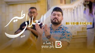 Imed bacha rabeh benino tair el allali عماد باشا مع رابح بينينو طير العلالي