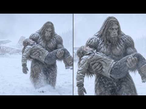 Bush Pilot Crashed in a White-Out Near Whitehorse in 1973 — Says A Sasquatch Rescued Him