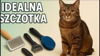 🐾 Która Szczotka dla Kota? Rodzaje i Porównanie 4 Najlepsze | Kotopedia 2025