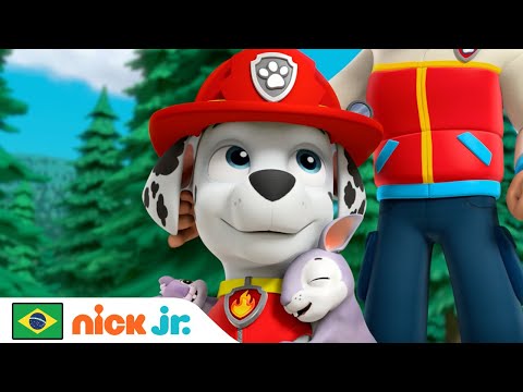 Capa de Patrulha Canina | Resgates de Coelhos Adoráveis da Patrulha Canina! | Nick Jr. em Português