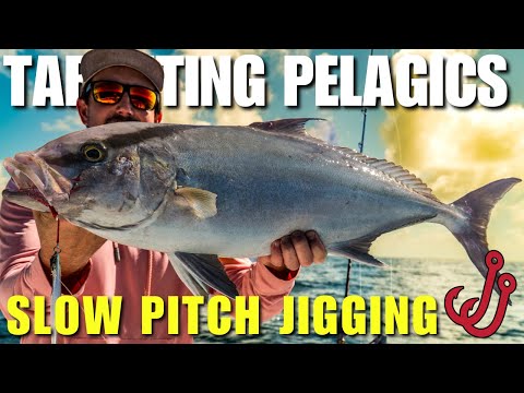 Offshore Fishing 101: Slow Pitch Jigging Techniques for Catching Pelagic Species!