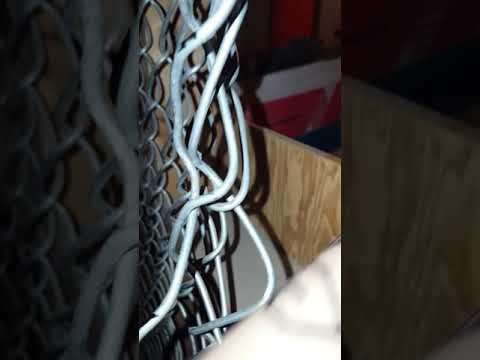 exploring my school basement