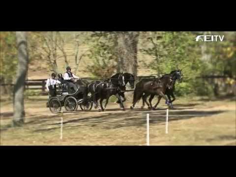 Alltech FEI WEG 2014 - Trailer