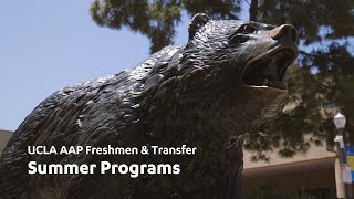 UCLA AAP Freshman & Transfer Summer Programs