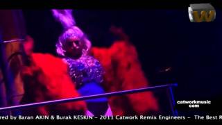 Catwork Remix Engineers Ft. RIO - When the sun comes down (2012)