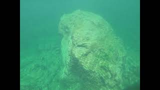 Ever wonder what's below you as you Kayak on The Colorado River. Come join River Dogz and explore!