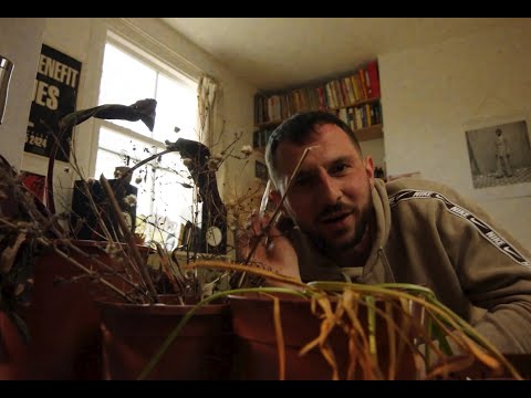 Asher Kosher - This One Ours