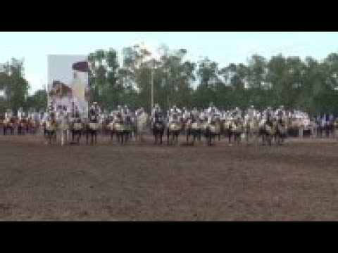 Horse lovers celebrate Arab equine heritage