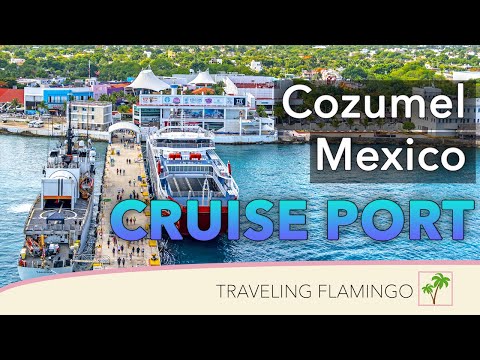 image-Can you tour a cruise ship in port?