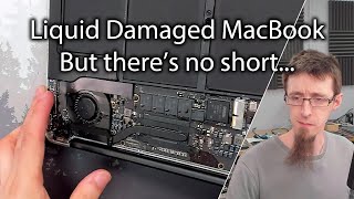 MacBook Air Liquid Damage, But No Shorts to Find - LFC#323