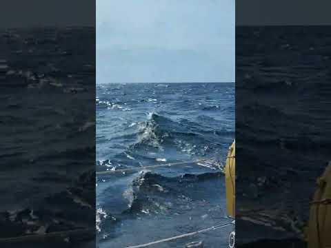 между Эстонией и Финляндией