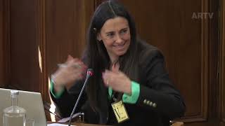 2026 06 03 - Audição do Vice-Presidente da Agência Portuguesa de Energia
