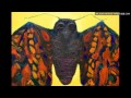 Black Moth Super Rainbow - Your Doppelganger