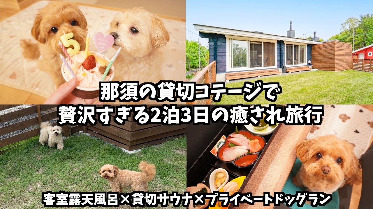 【犬連れ旅行】那須の貸切コテージで愛犬と贅沢お誕生日旅行🐶🎂露天風呂×サウナ×ドッグラン🐾自然に包まれた癒され旅が最高すぎました🥰【エンゼルフォレスト那須】
