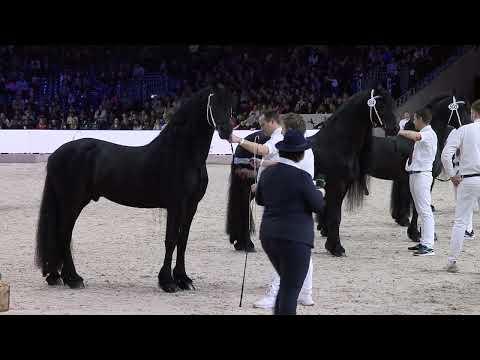 HK2025 | Silver Bowl winnaar Gosse 526