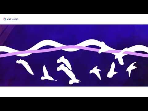 Andreea Bănică feat. Adrian Sina -Foi de Busuioc