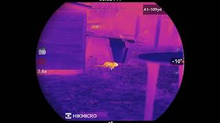 Thermal Rodent Video 2