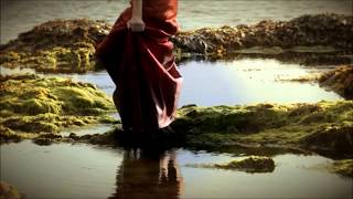 Robert Wyatt - Sea Song