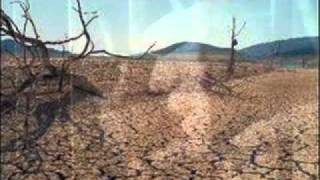 saving grace.wmv