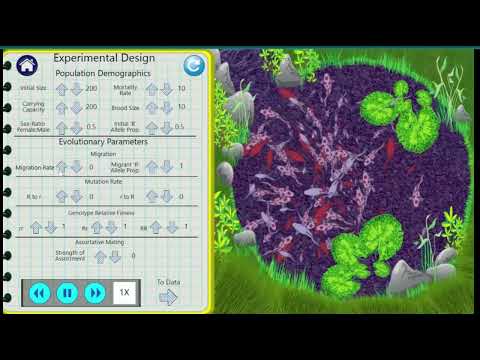 Popgen Fishbowl Virtual Lab