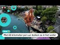 Klifduikers springen van metershoge brug