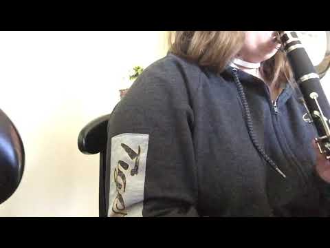 Harry Potter Hedwig’s Theme on Clarinet