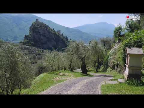 Diomajuta Carlo VS Riondino Salvatore - 24° Campionato Italiano Città di Arco