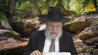 דף היומי בחצי שעה - נזיר דף ד'