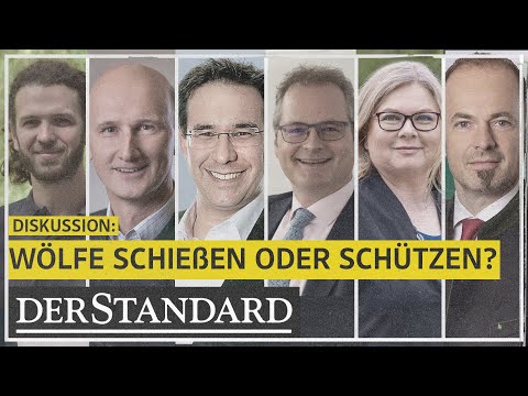 Wölfe schießen oder schützen: Dürfen wir entscheiden, wer hier leben darf?