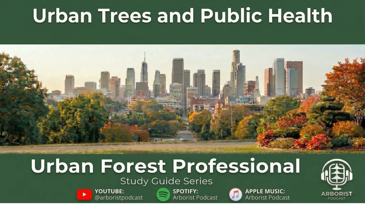 Urban Forestry & Public Health: Why Trees Are Essential Infrastructure (Ep. 20) #PublicHealth #Urban