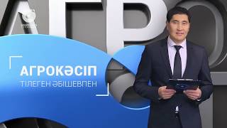 Марал шаруашылығындағы жаңа технологиялар