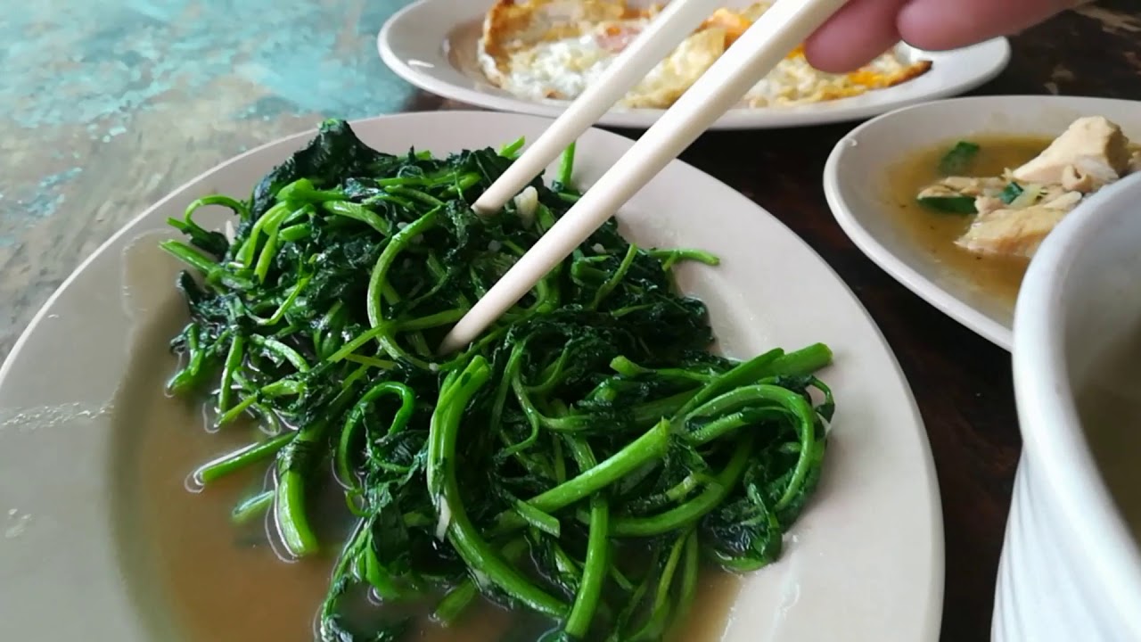 金马伦高原 - Cameron Highlands - 1分钟旅游