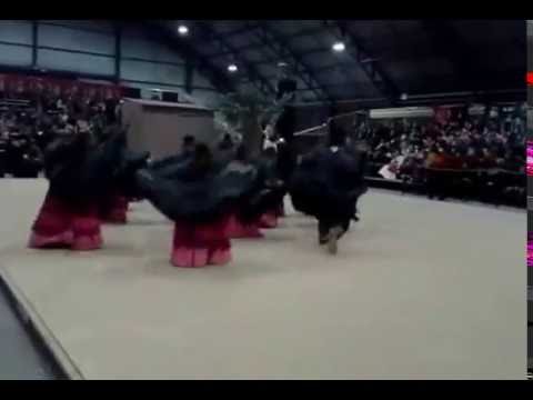 CTG Galpão da Estância- Entrada da Negra da Noite Pt.2