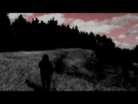 Broker / Dealer - Stormy