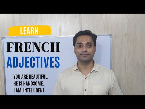 Adjectives in French for beginners | Learn French Adjectives