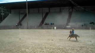 preview picture of video 'Champion Barrel & Pole Pony Rooster.avi'