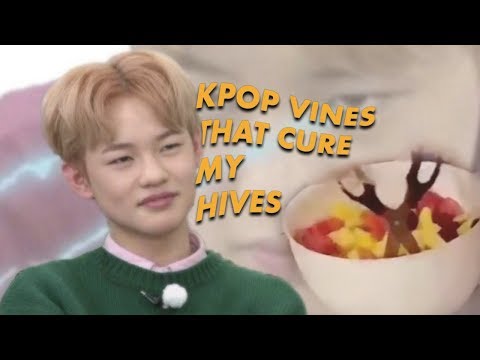 kpop vines that cured my hives