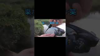 バス釣り　初の撮影　＃高知県　＃宿毛市