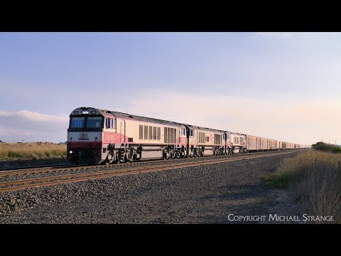 7AM9 SCT Mixed Freight Train: Steel, Boxcars & Containers (25/5/2024) - PoathTV Australian Railways