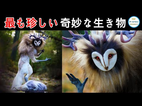 世界で最も珍しい動物