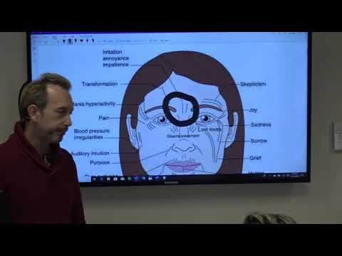 Unlock the Secrets of Chinese Face Reading: Instantly Decode Personality, Emotions & Hidden Trauma