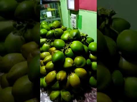 A grade solid organic green coconut, packaging size: truck l...