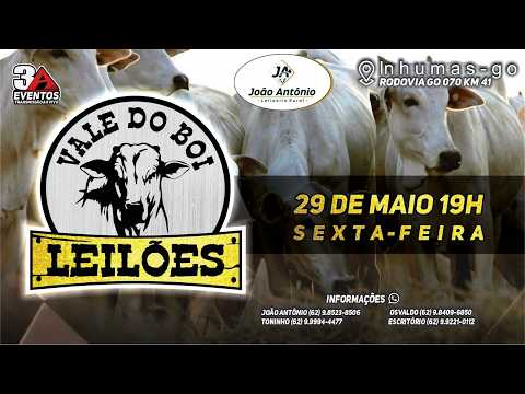 VALE DO BOI LEILOES - INHUMAS GO  - LEILAO VIRTUAL E PRESENCIAL -  29  DE  MAIO 2026