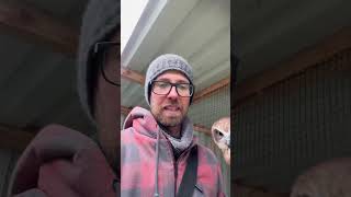 Danke! Ihr seid alle toll! 🦉🦅 #falknerei #zoo #auffangstation #falke #adler #uhu #eule #kauz