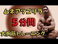 ダンベル使って5分で大胸筋全体を刺激します♪