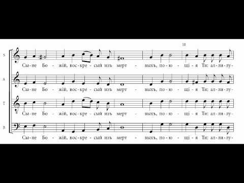 Diletsky - 4-Part Liturgy 3 'Come let us worship'