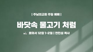 바닷속 물고기 처럼 - 천민성 목사