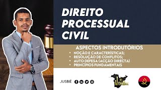 Noções Gerais do Direito Processual Civil |  Direito Processual Civil - Aula 01